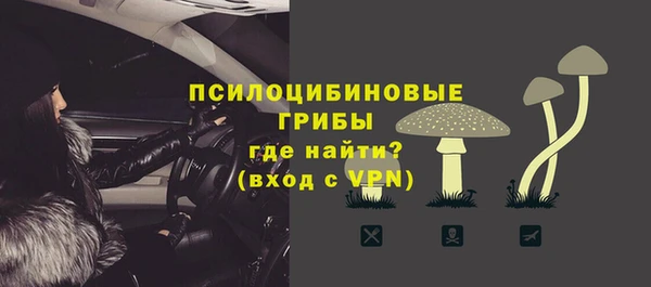 стаф Киреевск